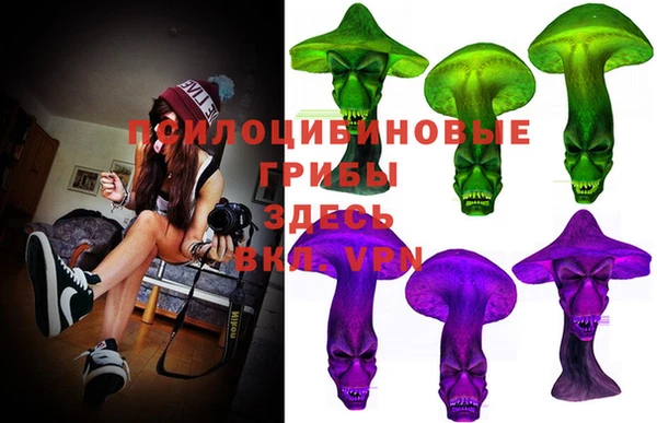 ПСИЛОЦИБИНОВЫЕ ГРИБЫ Кинешма