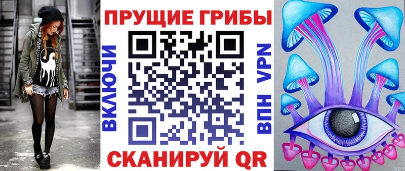 Купить где  Карабаш  Галлюциногенные грибы Psilocybe 